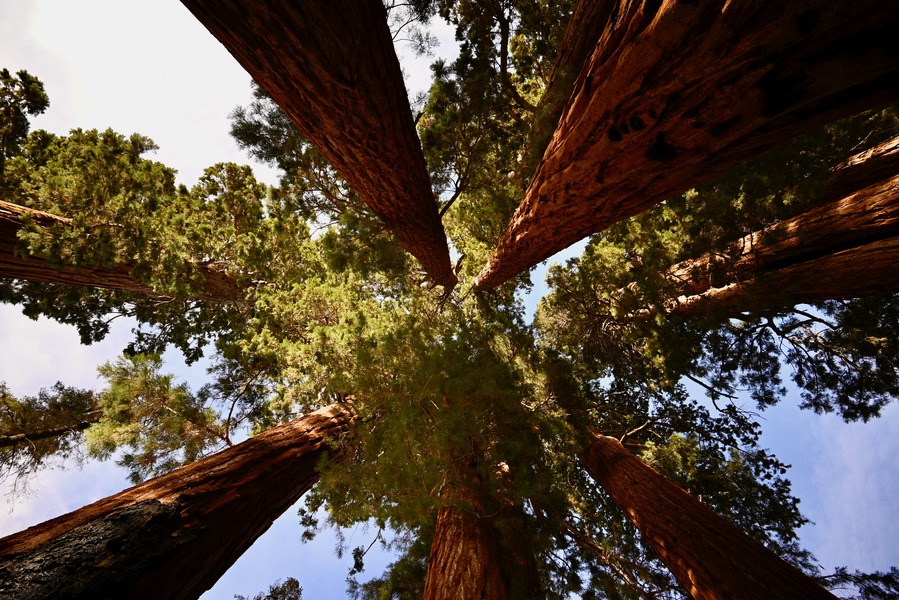 Top Five Things to Do in Sequoia and Kings Canyon National Parks ...